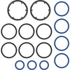 Storz & Bickel O-Ring Set – Volcano Solid Valve